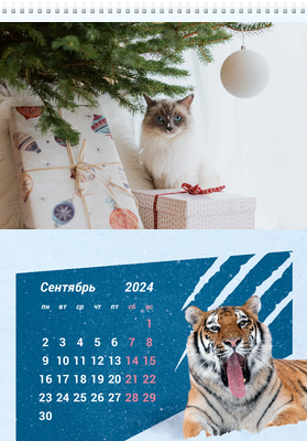 Вертикальные настенные перекидные календари - Снежный тигр Сентябрь